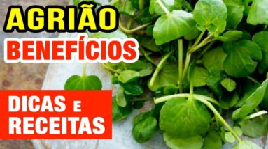 Os Impressionantes Benefícios do Agrião para Saúde e Boa Forma - Como Usar e Receitas