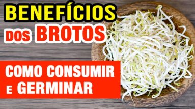 Benefícios dos BROTOS - Como Consumir e Germinar Grãos e Sementes