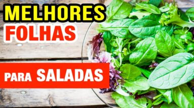 MELHORES FOLHAS PARA SALADAS - Mais Saúde, Emagrecimento e Disposição