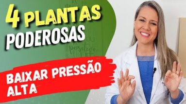 4 Plantas SUPER PODEROSAS para BAIXAR PRESSÃO ALTA!