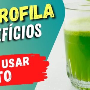 ANTI-INFLAMATÓRIA e ANTIOXIDANTE! Benefícios da CLOROFILA e Dicas Importantes