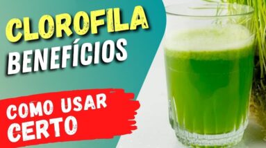 ANTI-INFLAMATÓRIA e ANTIOXIDANTE! Benefícios da CLOROFILA e Dicas Importantes