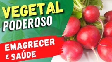 EMAGRECER, FÍGADO, Baixar AÇÚCAR NO SANGUE e Mais! Poucas Calorias e Carboidratos! (Low Carb)