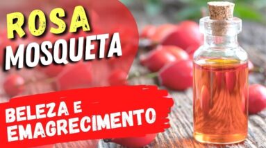 Benefícios da ROSA MOSQUETA (Chá e Óleo) para BELEZA, EMAGRECER e SAÚDE