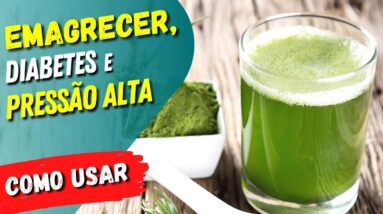 Chlorella para EMAGRECER, DIABETES, PRESSÃO e Mais - COMO USAR CERTO!