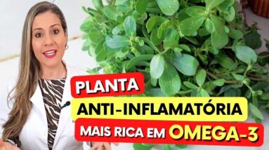 Planta Anti-Inflamatória MAIS RICA EM OMEGA-3, para Dor, Emagrecer, Articulações,.. Como Usar Certo