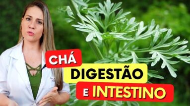 Chá para MÁ DIGESTÃO e PROBLEMAS INTESTINAIS - Benefícios do Chá de Losna, Como Usar e Dicas