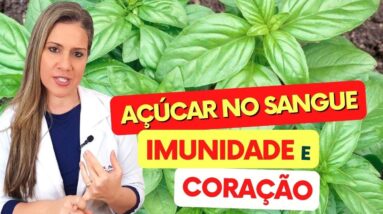 A Planta para AÇÚCAR NO SANGUE, IMUNIDADE e CORAÇÃO - Benefícios da Alfavaca, Como Tomar, Chá, Dicas