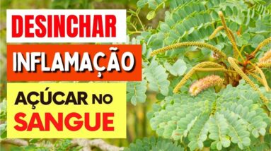 Planta para DESINCHAR, INFLAMAÇÃO e AÇÚCAR NO SANGUE - Benefícios do Barbatimão, Como Tomar, Chá,...