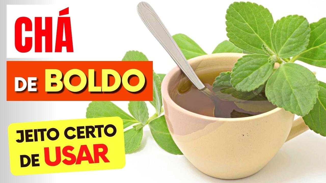 CHÁ DE BOLDO – A forma CERTA de USAR – Benefícios e Cuidados | Saudável ...