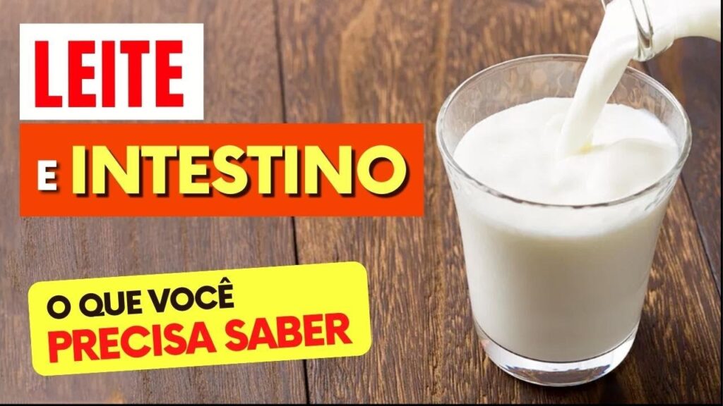 LEITE e INTESTINO – O que você PRECISA SABER! | Saudável Receita ...