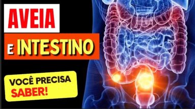 AVEIA e INTESTINO - O que você PRECISA SABER!