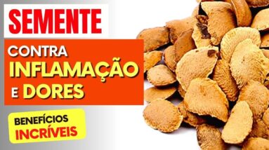 Semente para INFLAMAÇÃO, DORES e ARTICULAÇÕES! Benefícios da Sucupira, Como Usar e Dicas