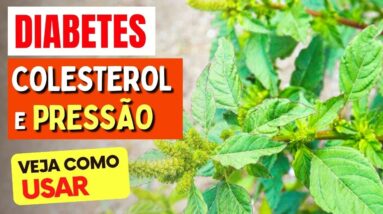 A Planta para DIABETES, COLESTEROL e PRESSÃO - Benefícios do Carurú, Chá, Como Usar e Dicas