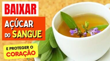 CHÁ para BAIXAR AÇÚCAR NO SANGUE, CORAÇÃO e mais! Benefícios do Chá de Sálvia, Como Usar e Dicas