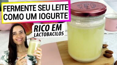 FERMENTE SEU LEITE VEGETAL! PROBIÓTICO COMO IOGURTE, RICO EM LACTOBACILOS VIVOS!