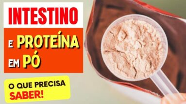 INTESTINO e PROTEÍNA EM PÓ (Whey, Albumina,...) - O que você PRECISA SABER!