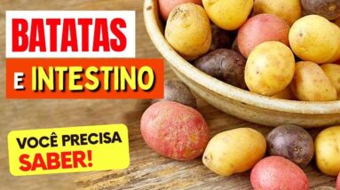 TIPOS DE BATATA e INTESTINO - O que você PRECISA SABER! (Prisão de Ventre, Inflamação, Gases e Mais)