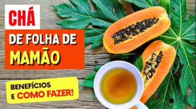 Chá de FOLHA DE MAMÃO para Digestão, Inflamação e Mais - Benefícios, Como Fazer e Como Usar