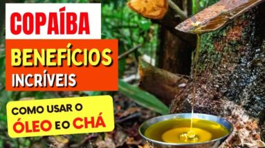 Benefícios Incríveis da COPAÍBA - Como Usar o CHÁ E ÓLEO e Dicas (Pele, Inflamação e mais)