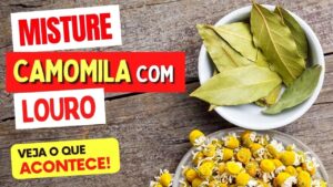 Misture CAMOMILA e FOLHAS DE LOURO e Veja o que ACONTECE com Você! (Use Assim)