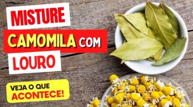 Misture CAMOMILA e FOLHAS DE LOURO e Veja o que ACONTECE com Você! (Use Assim)