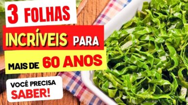 3 FOLHAS INCRÍVEIS para QUEM TEM MAIS DE 60 ANOS - Você Precisa CONHECER!