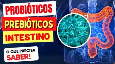 PROBIÓTICOS, PREBIÓTICOS e INTESTINO - O que você PRECISA SABER!