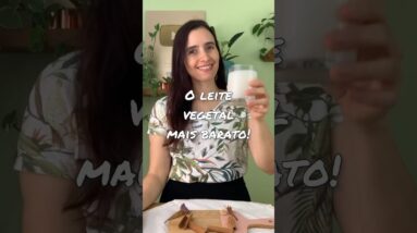 O leite vegetal mais barato! Fácil, saudável e combina com café!