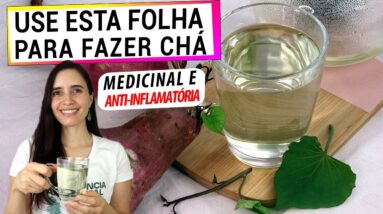 O CHÁ DESTA FOLHA É UM SUPER ALIMENTO E NINGUÉM SABE DISSO! FAÇO SEMPRE AGORA DEPOIS QUE DESCOBRI!