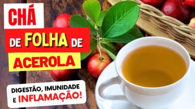 CHÁ da FOLHA DE ACEROLA para Desinflamar, Imunidade, Digestão,... - Benefícios e Como Usar