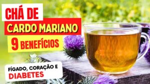 CHÁ de CARDO MARIANO para Fígado Gordo, Diabetes, Coração,... 9 Benefícios Incríveis e Dicas