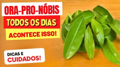 ORA-PRO-NOBIS TODO DIA - Veja o que ACONTECE com você! (USE ASSIM)