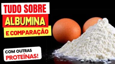 TUDO sobre ALBUMINA e Comparação com WHEY e outras PROTEÍNAS