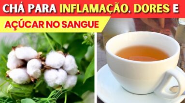 CHÁ da FOLHA DE ALGODÃO para Inflamação, Dores, Açúcar no Sangue, Circulação,... e Como Usar