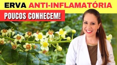 A Erva SUPER ANTI-INFLAMATÓRIA que POUCOS CONHECEM! Como Usar e Dicas