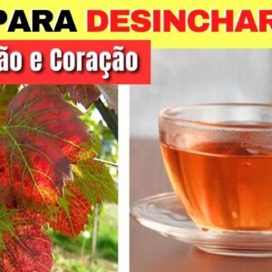 Chá para DESINCHAR, CIRCULAÇÃO, CORAÇÃO e mais - Benefícios do Chá de Videira Vermelha e Dicas