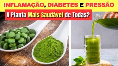 A PLANTA MAIS SAUDÁVEL DE TODAS? Inflamação, Diabetes, Pressão, Detox,... Como Usar