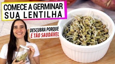 POR QUE VOCÊ DEVE GERMINAR SUA LENTILHA! DESCUBRA OS BENEFÍCIOS E COMO FAZER DO JEITO CERTO!