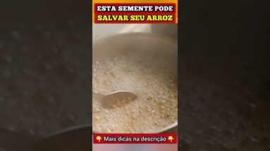 ESSA SEMENTE pode SALVAR SEU ARROZ (+ Fibras, Anti-inflamatório e mais)