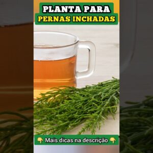 Planta para PERNAS INCHADAS