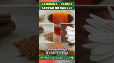 CAMOMILA + CANELA para BAIXAR AÇÚCAR NO SANGUE