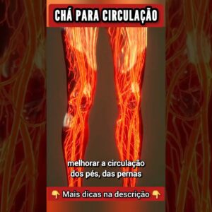 CHÁ para CIRCULAÇÃO DO SANGUE