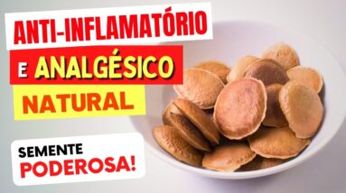 Semente de SUCUPIRA - Anti-Inflamatório e Analgésico Natural - Benefícios e Como Usar