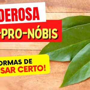 A poderosa ORA-PRO-NOBIS - 10 FORMAS DE USAR que você VAI AMAR! Benefícios, Dicas e Receitas