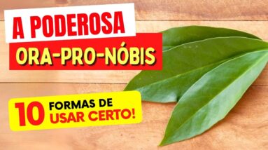 A poderosa ORA-PRO-NOBIS - 10 FORMAS DE USAR que você VAI AMAR! Benefícios, Dicas e Receitas