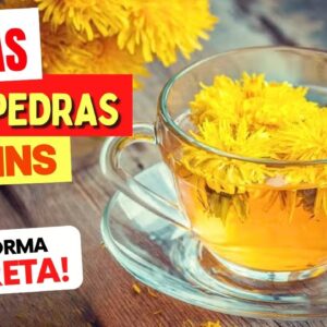 5 Melhores CHÁS contra PEDRA NOS RINS - Benefícios, Como Preparar e Como Tomar